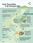 Pacific Flyway Habitat in the Sacramento Valley 