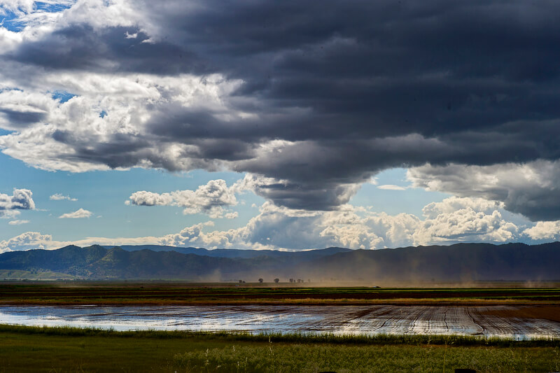 , Monday, May 5, 2014.Photo Brian Baer