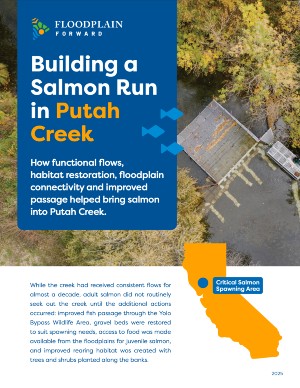 Building a Salmon Run in Putah Creek