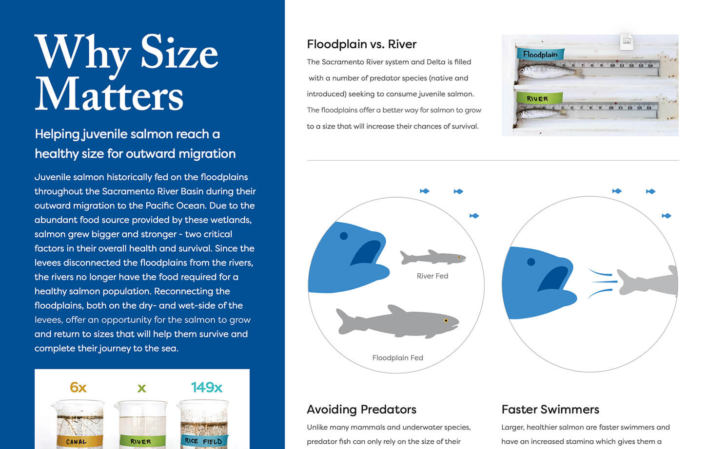 Why Size Matters